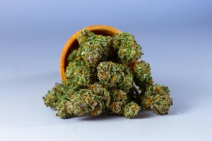 HHC vs THC — rozdíly mezi kanabinoidami