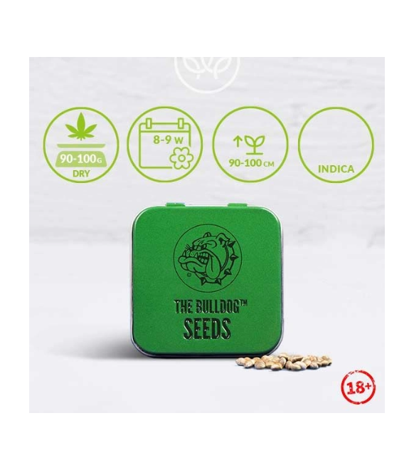 The Bulldog Amsterdam