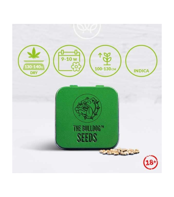 The Bulldog Amsterdam