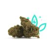 THCV 12% G13 HAZE