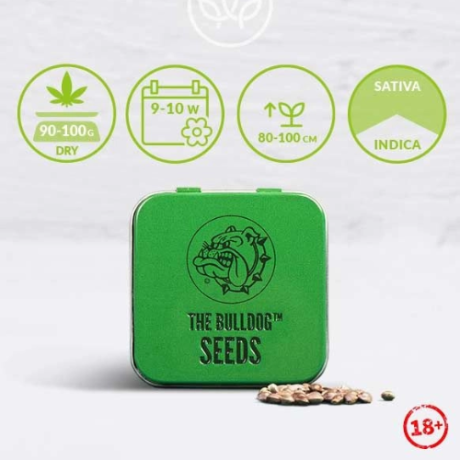 
The Bulldog Amsterdam Lemon Haze Semínka 3 ks balení sběratelských semen pro milovníky bylinných směsí
