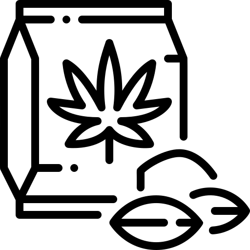 Semínka